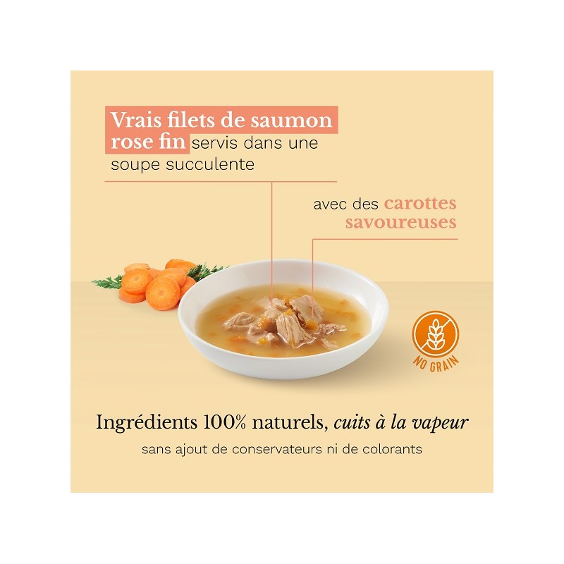 Schesir - Soupe au Saumon rose Sauvage et Carottes pour Chat - 85g
