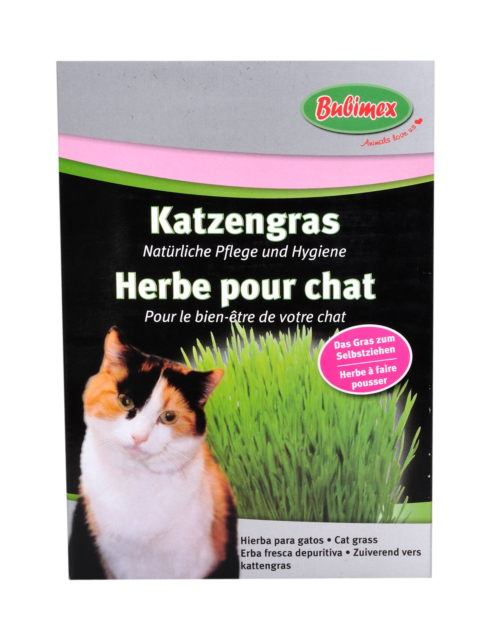 Herbe A Chat Bubimex