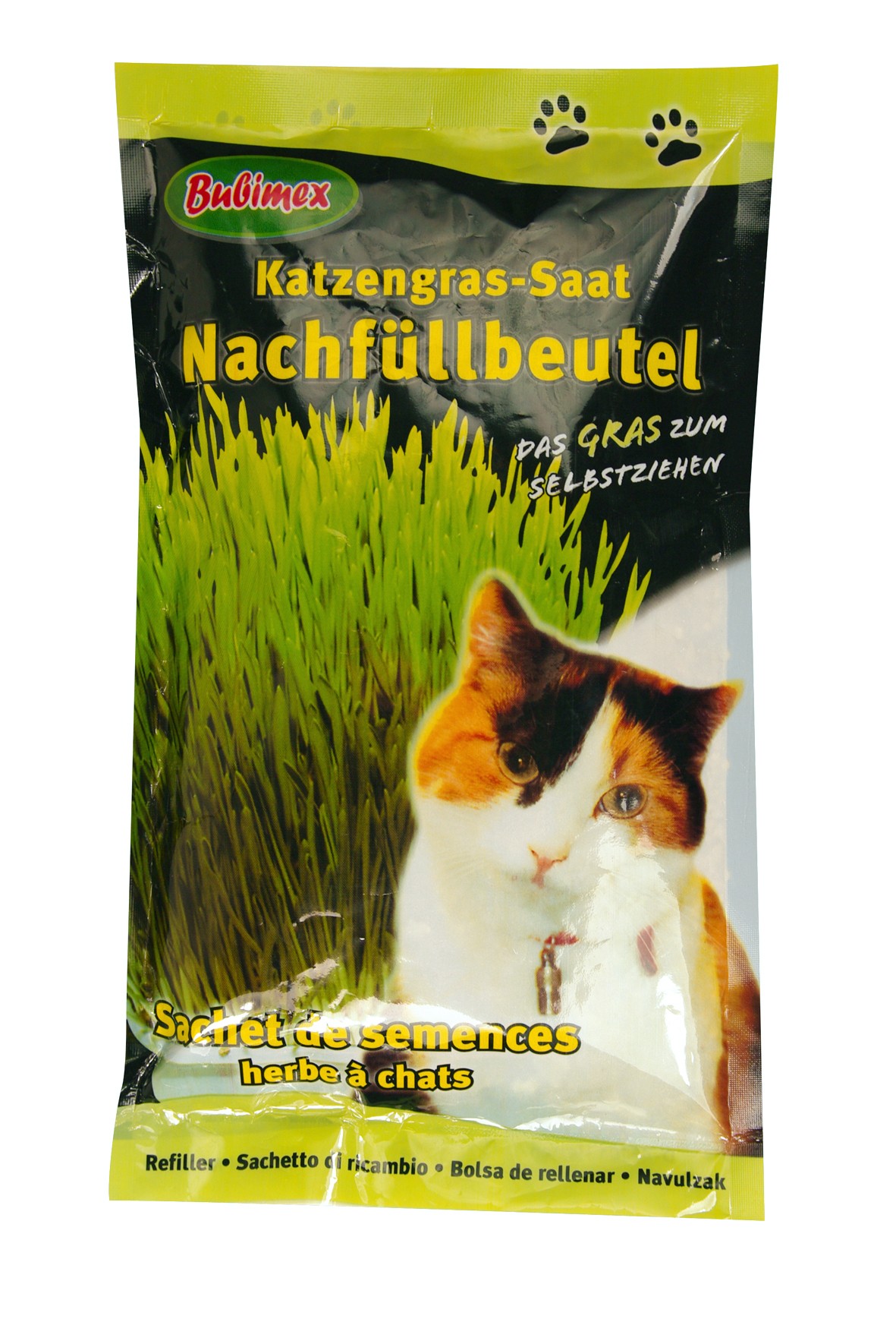 Semences d'herbe à chat